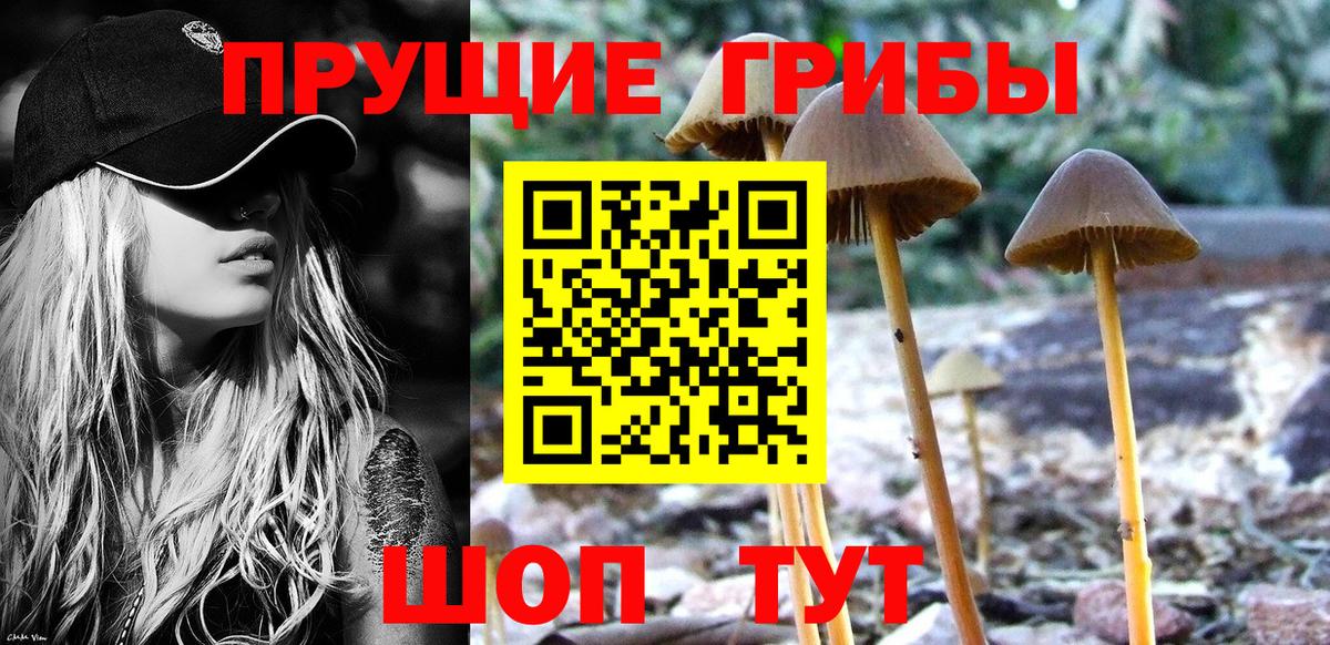 Лесосибирск  Псилоцибиновые грибы GOLDEN TEACHER  Вход с VPN 